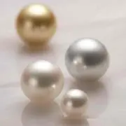 パールの画像