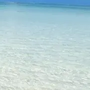 naaの画像