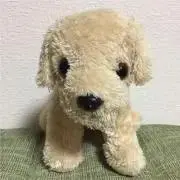 めりーの画像
