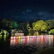 Amyの画像