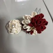 MERISAの画像