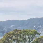 tk