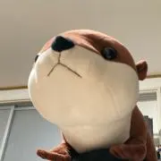 sumomoの画像