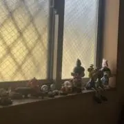 Ysの画像