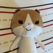 こた☆の画像