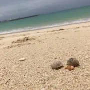コン☆