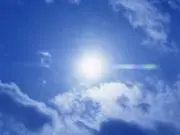 コロの画像