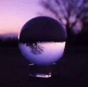 ぶどうの画像