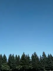 炭酸水