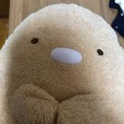 もんの画像