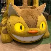 Yの画像
