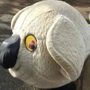 ゆたマン★