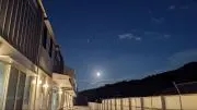 ひっくんの画像