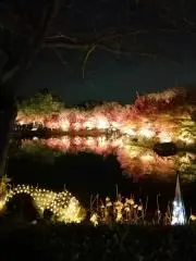 ohisamaの画像