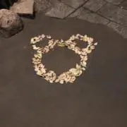 オチェ