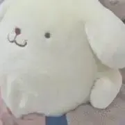 ぽん
