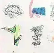 Hara Tylerの画像