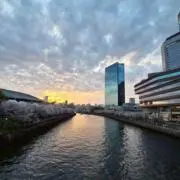 りんの画像