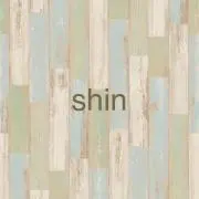 shinの画像