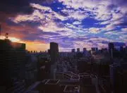るるの画像