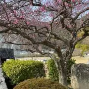 どん