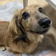 mel0の画像