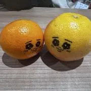 くるちゃむの画像
