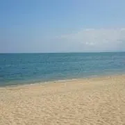 さだゆき