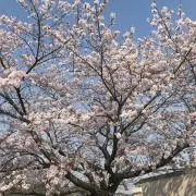 ひとみん