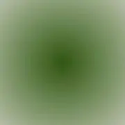 Ririの画像