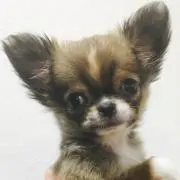 みなっち