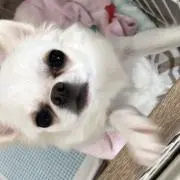 すず太郎の画像