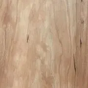 ramちゃんの画像