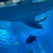 なんみの画像