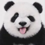 たいの画像