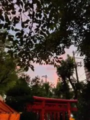 茶畑
