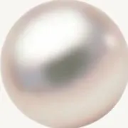 select ME ✨値下げ交渉可能✨の画像
