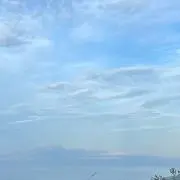 たたの画像