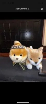 みやじの画像