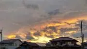 ささやき太郎次郎の画像