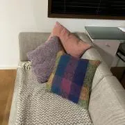 なつみかんの画像