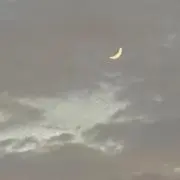 シトラスの画像
