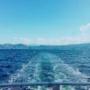ARMYの画像