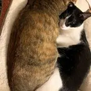 ゆうの画像
