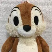 ぴぃチップの画像