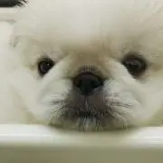まきやんの画像