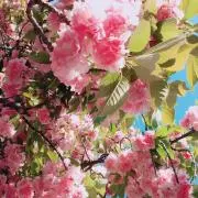 まこ(即購入オッケー)