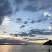 ｃｏｌｏｒの画像