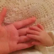ラベンダーの画像