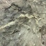 Lの画像